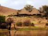 Tortilis Camp - camp exterior + elephants